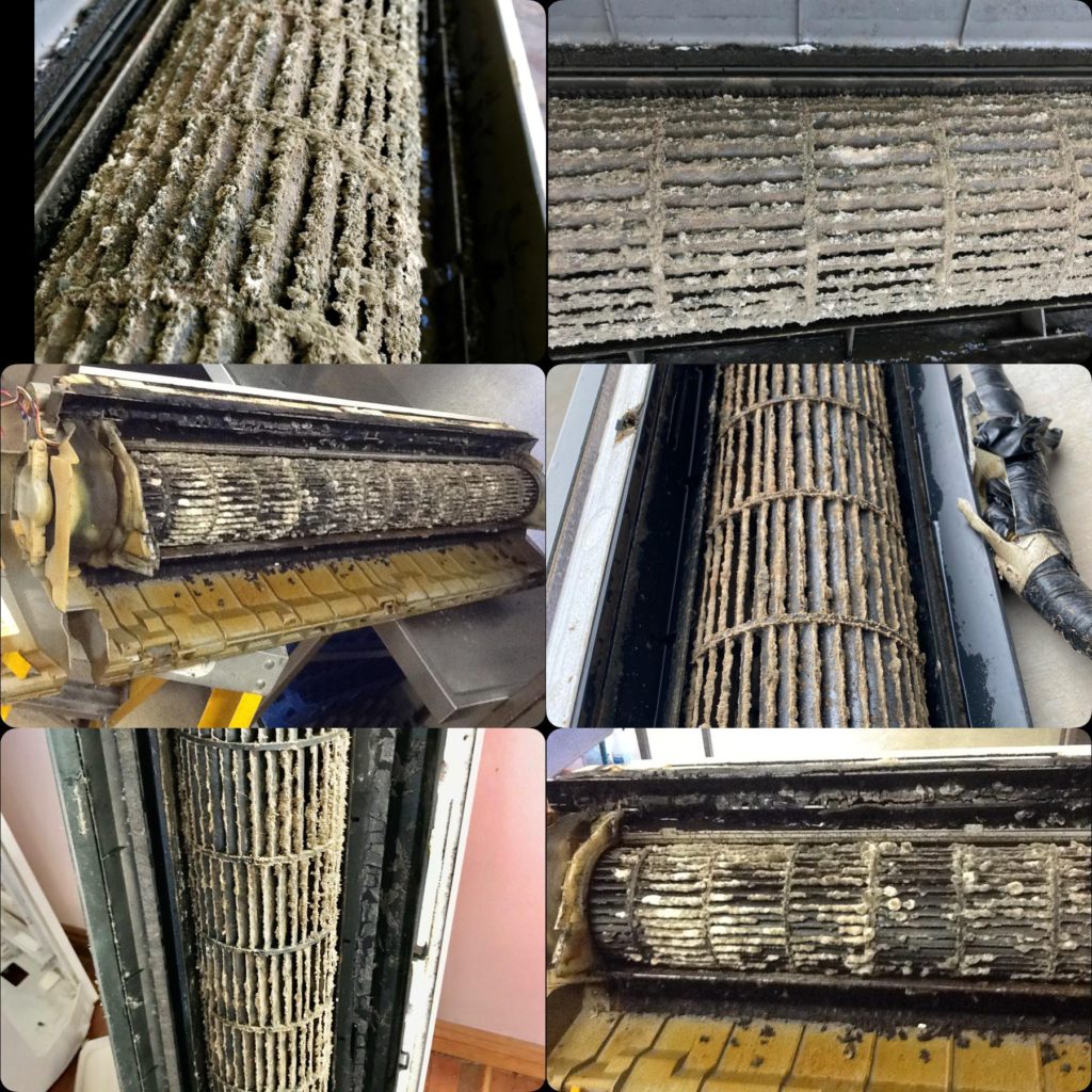 Dirty ductless blower wheels caked with dust and organic buildup — real photos from our service calls